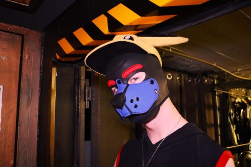 Puppy Peide Cologne 2026 - PuppyLicious