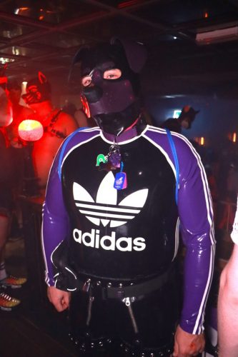 Puppy Licious - Cologne Pride