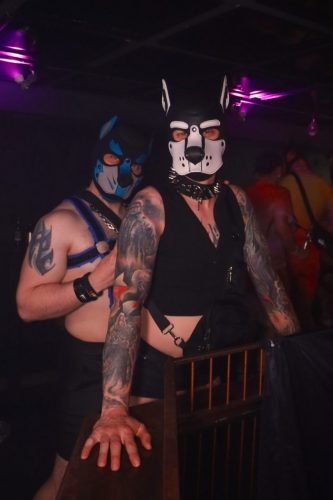 Puppy Peide Cologne 2026 - PuppyLicious
