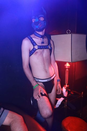 Puppy Licious - Cologne Pride