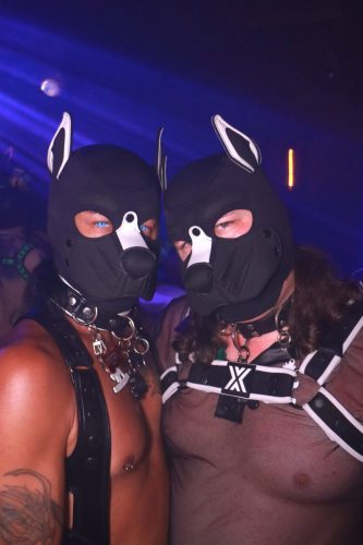Puppy Licious - Cologne Pride