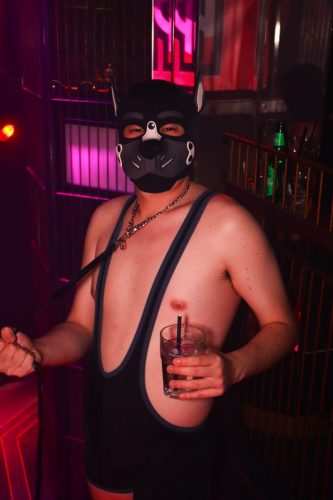 Puppy Peide Cologne 2026 - PuppyLicious