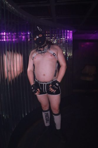 Puppy Peide Cologne 2026 - PuppyLicious
