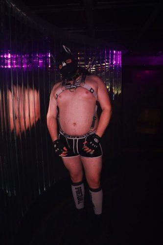 Puppy Peide Cologne 2026 - PuppyLicious