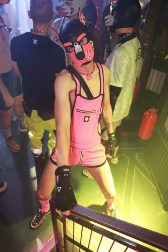 Puppy Licious - Cologne Pride