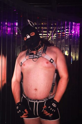 Puppy Peide Cologne 2026 - PuppyLicious