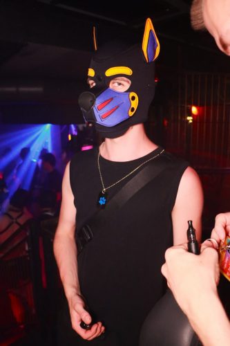 Puppy Peide Cologne 2026 - PuppyLicious