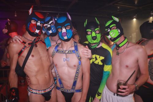 Puppy Licious - Cologne Pride