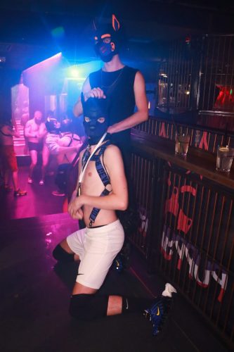 Puppy Peide Cologne 2026 - PuppyLicious