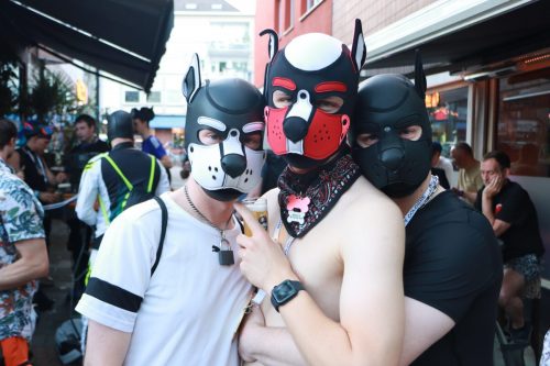 Puppy Pride Cologne - Pup Pub Crawl