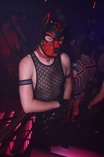Puppy Licious - Cologne Pride