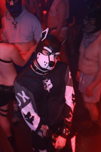 Puppy Peide Cologne 2026 - PuppyLicious