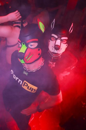 Puppy Peide Cologne 2026 - PuppyLicious