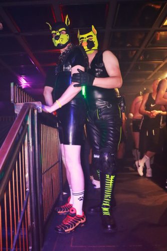 Puppy Peide Cologne 2026 - PuppyLicious