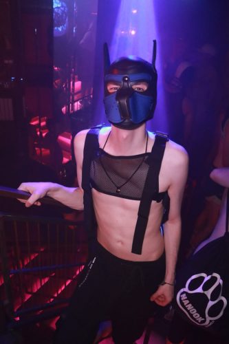 Puppy Licious - Cologne Pride