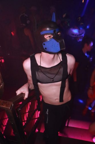 Puppy Licious - Cologne Pride