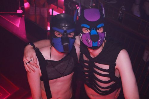 Puppy Licious - Cologne Pride