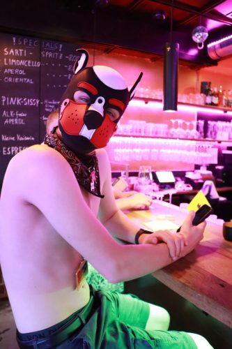 Puppy Pride Cologne - Pup Pub Crawl