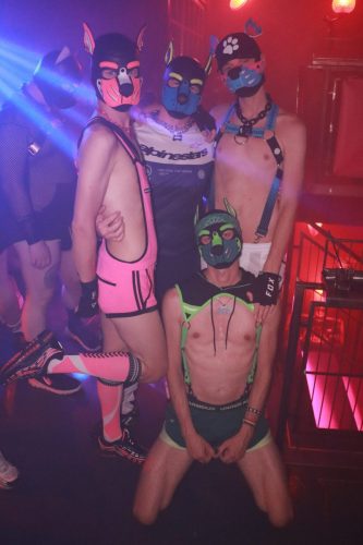 Puppy Licious - Cologne Pride