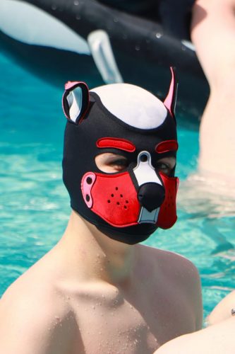 Puppy Day'n'Night