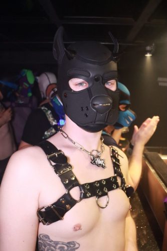 Puppy Licious - Cologne Pride