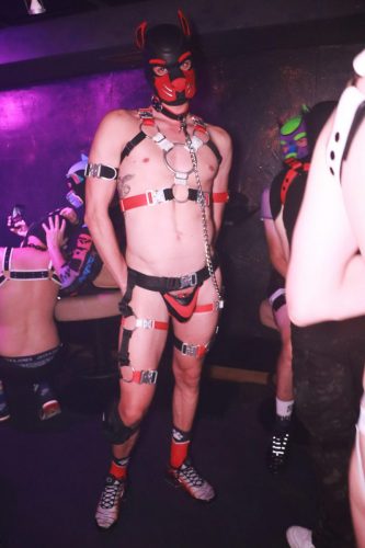 Puppy Licious - Cologne Pride