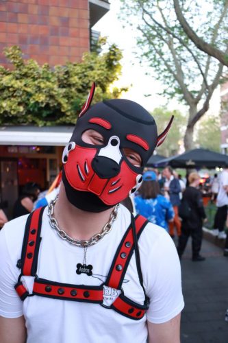 Puppy Pride Cologne - Pup Pub Crawl