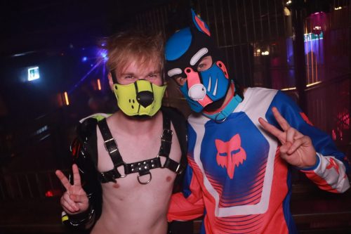 Puppy Licious - Cologne Pride