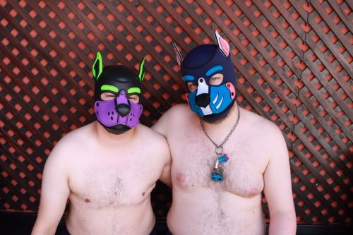 Puppy Day'n'Night