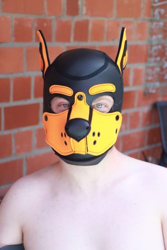 Puppy Day'n'Night
