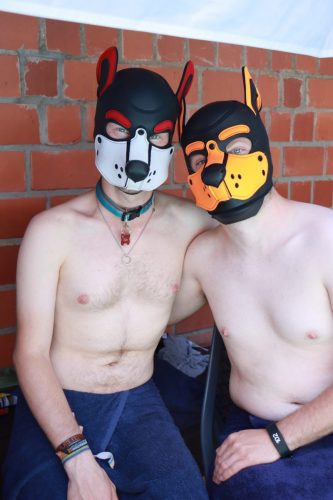 Puppy Day'n'Night