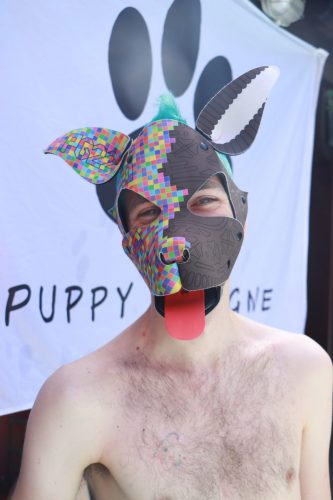 Puppy Day'n'Night