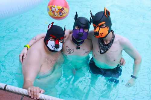 Puppy Day'n'Night