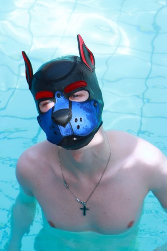 Puppy Day'n'Night