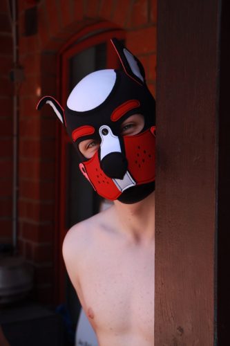 Puppy Day'n'Night