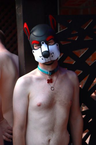 Puppy Day'n'Night