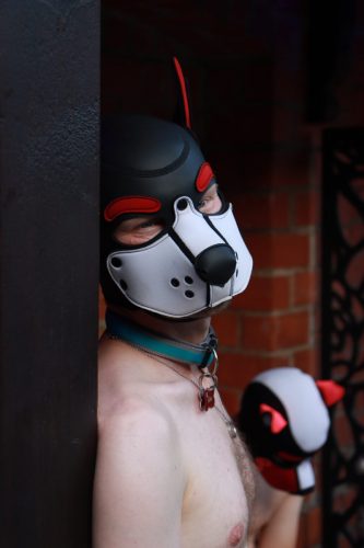 Puppy Day'n'Night