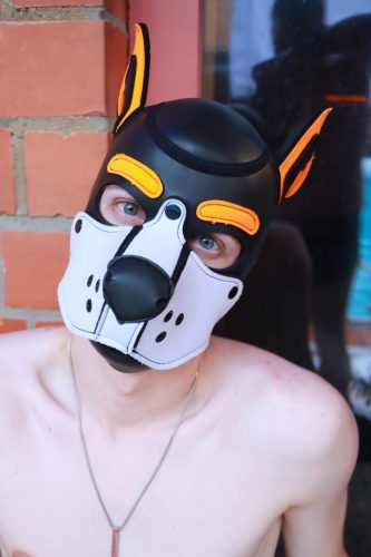 Puppy Day'n'Night